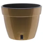 Горщик для квітів ASTI 1,4 л золотий-чорний