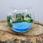 Флораріум Mini Наодинці 11х10 см (3772)