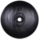 Диск для грифа WCG композитний 10 кг (10kg-2-1)