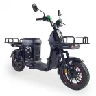 Електровелосипед FADA FLiT 3 Cargo 1200W Чорний