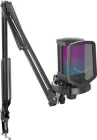 Мікрофон конденсаторний Fifine Q6T USB Black