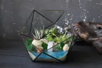 Флораріум з водоймою Дзеркало 24cm х 22cm
