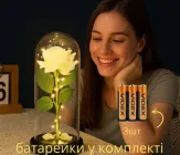 Роза в колбі з LED підсвіткою, вічна троянда нічник декоративна лампа в спальню дівчині подарунок для жінки романтичний дружині мамі на день народження троянда біла з батарейками в комплекті декор для інтер'єру 2100037