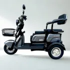 Електроскутер триколісний EVOBIKE Luna TRIO PRO 60V 20Ah 1200W (2026) з покращеним акумулятором і комфортним сидінням | Сірий графіт