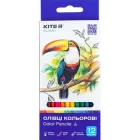 Олівці кольорові тригранні 12 кольорів Kite Classic K-053, 67646