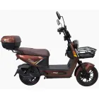 Електровелосипед FADA RiTMO N 1200W Бронзовий