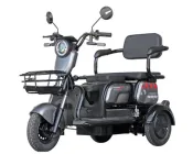 Електроскутер Maxxter ANT LI (Gray) триколісний 1000 Вт, літієвий акумулятор, сірий
