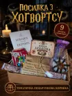 Подарунковий набір в стилі Гаррі Поттер «Посилка з Гоґвортсу для тебе» 15х20см, Магічний бокс із солодощами Harry Potter №23