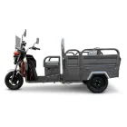 Трицикл вантажний акумуляторний FORTE GP-1000-D Сірий
