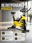 Спинбайк EcoFit для домашніх тренувань з дисплеєм і магнітним опором витримує до 120 кг регульоване сидіння та кермо