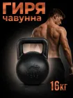 Гиря чавунна Newt 16 кг (NE-100-1600)