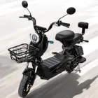 Електровелосипед двомісний VELOVA CITY 600W з амортизацією