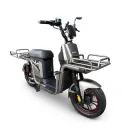 Електровелосипед FADA FLiT FLP 1200W LiFePO4 72V 45Ah Сірий